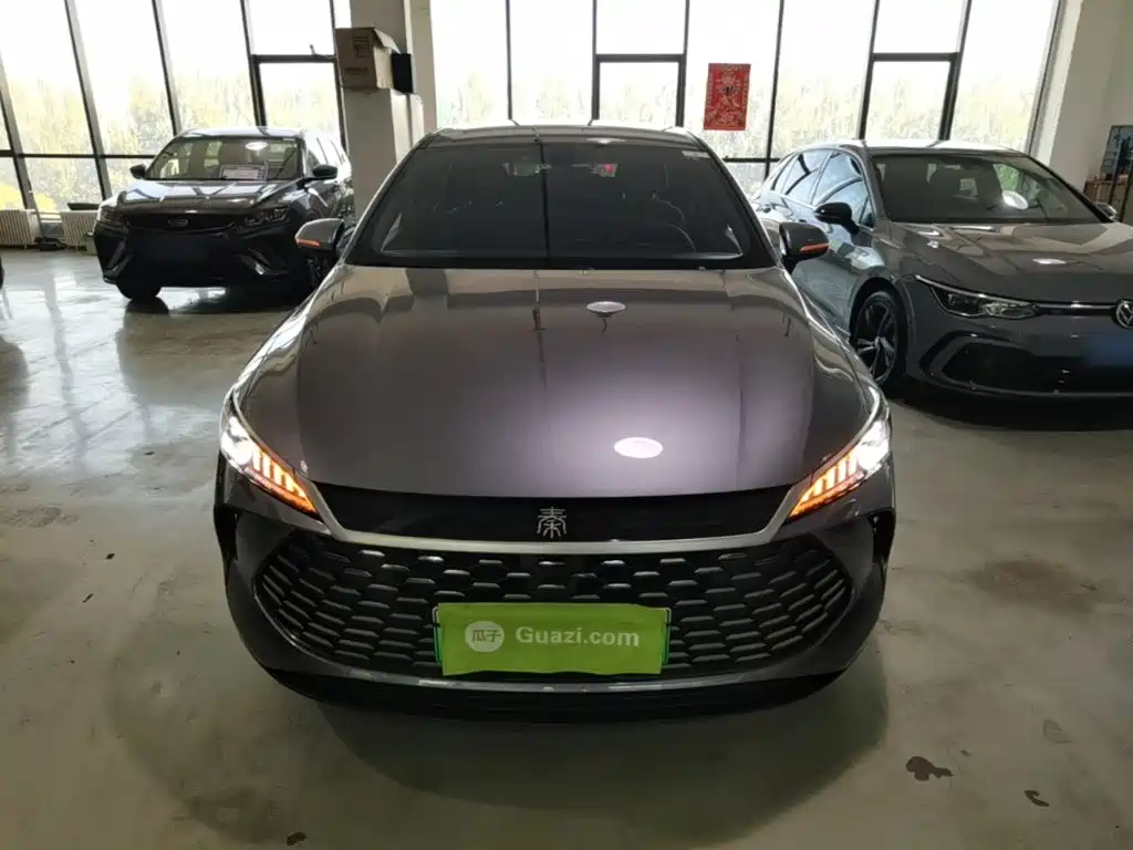BYD Qin PLUS — фото 3