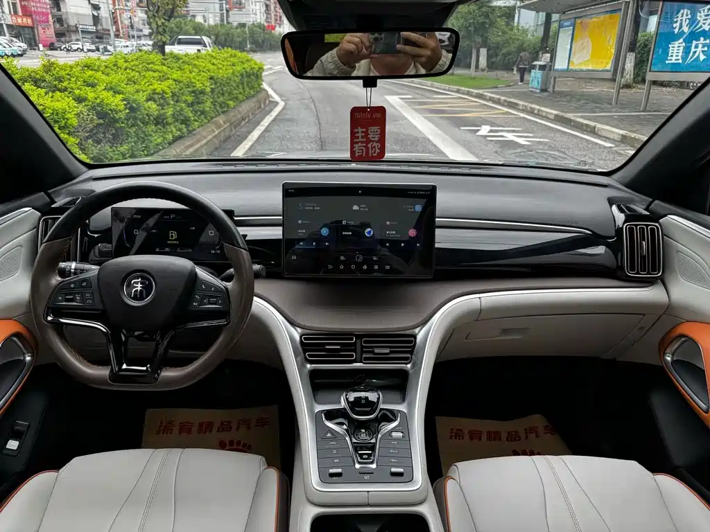 BYD PLUS New Energy — фото 17