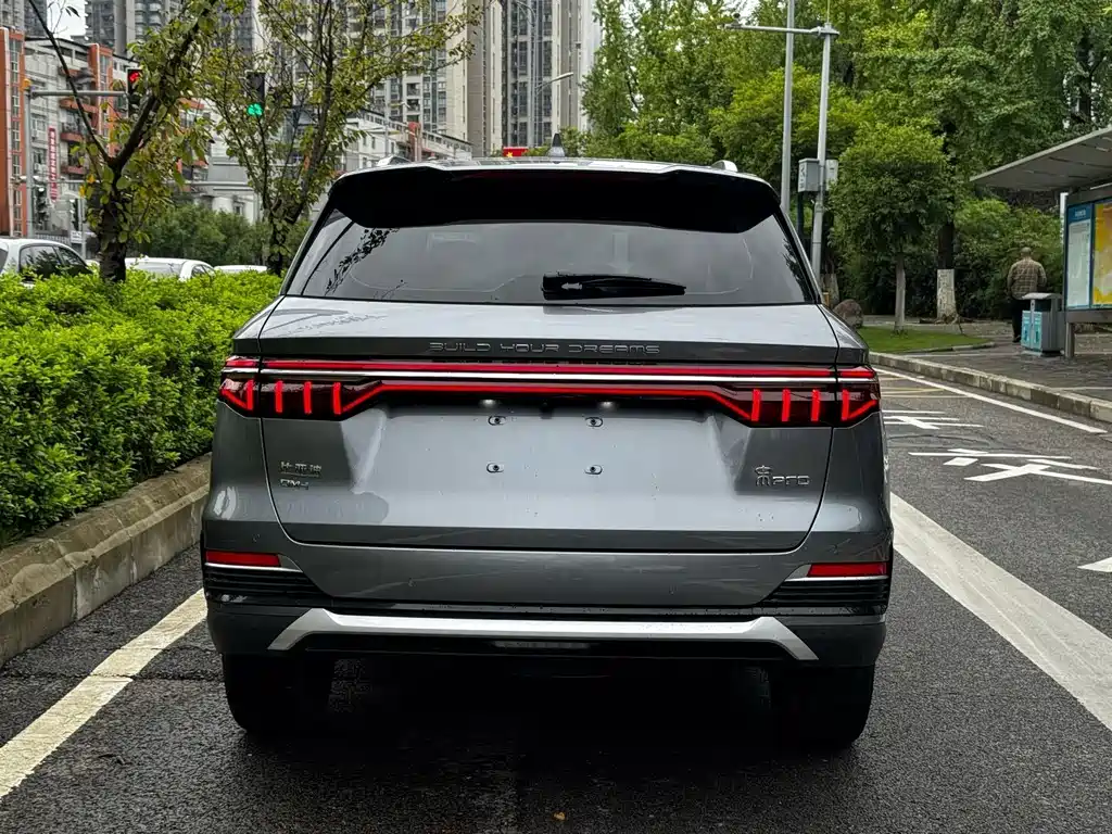 BYD PLUS New Energy — фото 24