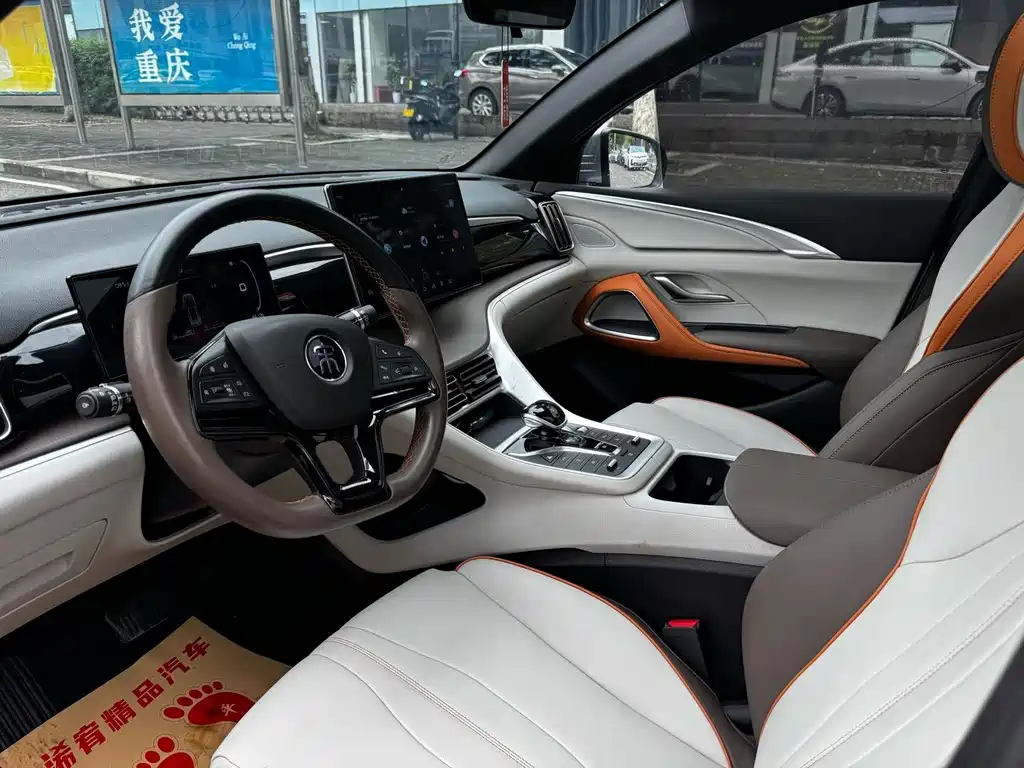 BYD PLUS New Energy — фото 9