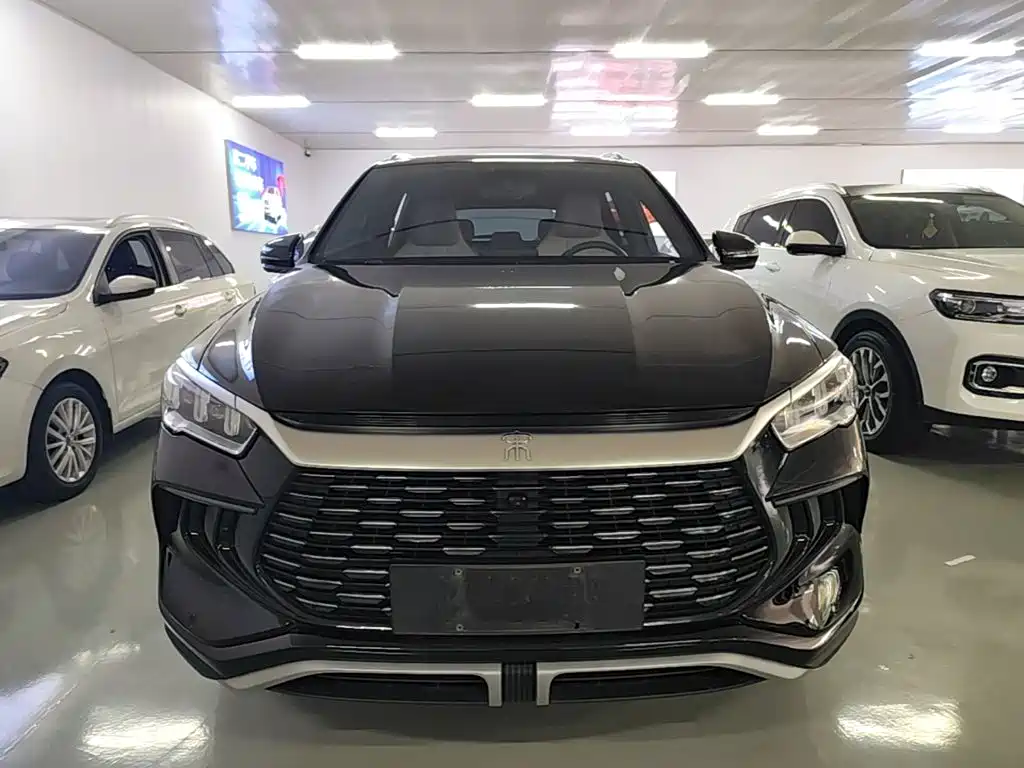 BYD Pro New Energy — фото 3