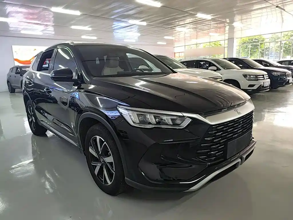 BYD Pro New Energy — фото 4
