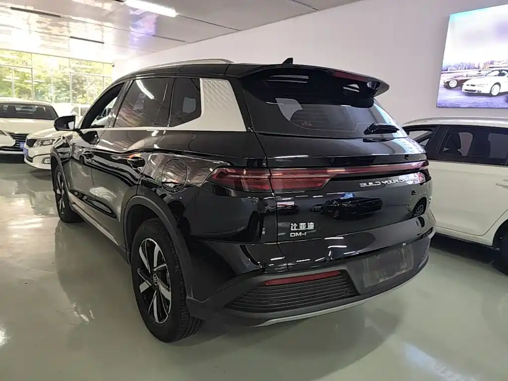 BYD Pro New Energy — фото 5