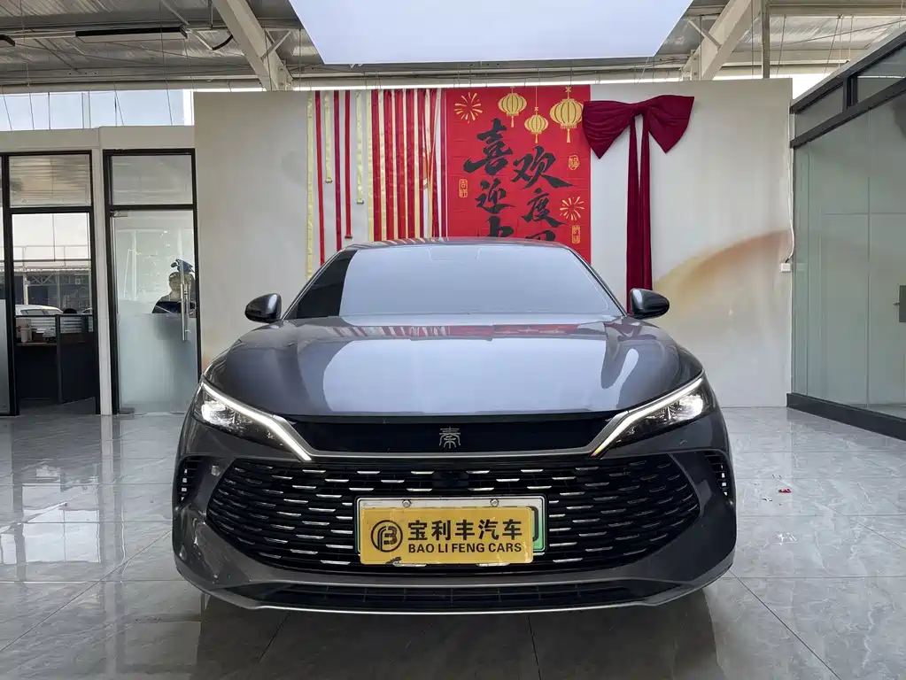 BYD Qin L — фото 3