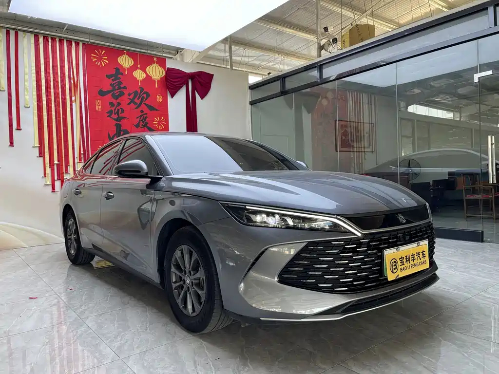 BYD Qin L — фото 4