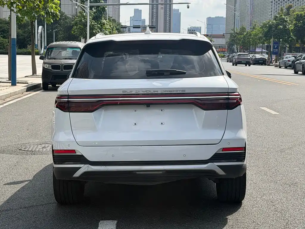 BYD Pro New Energy — фото 5