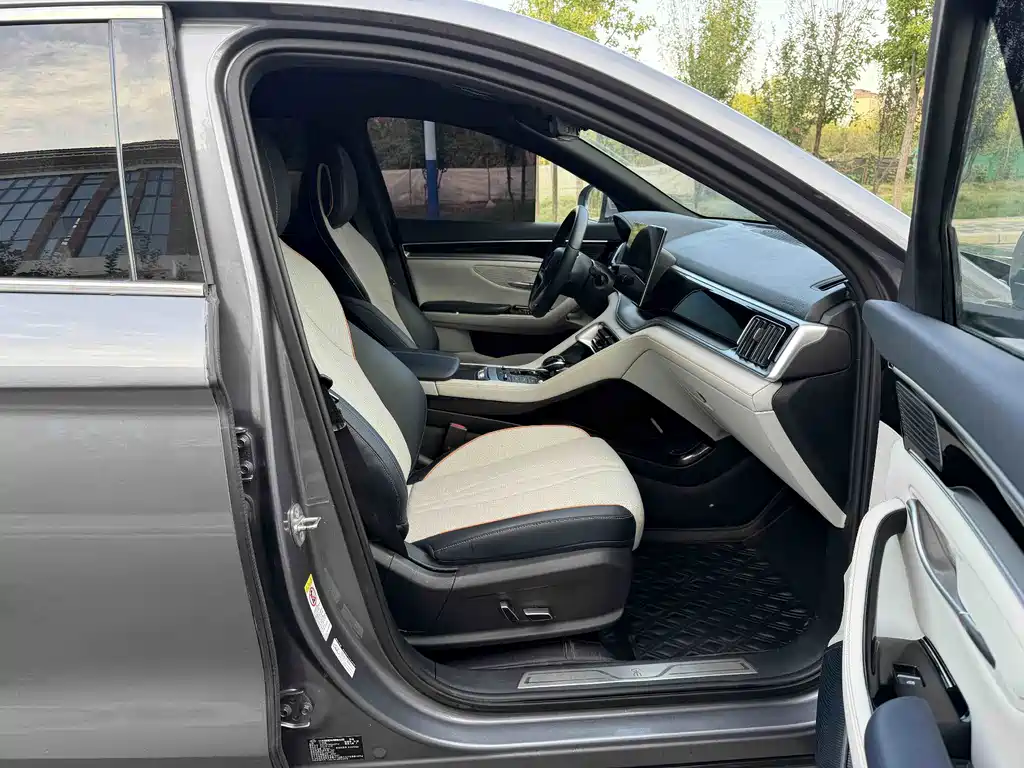 BYD PLUS New Energy — фото 14