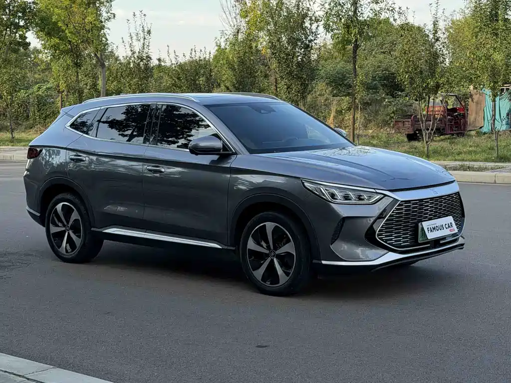 BYD PLUS New Energy — фото 3
