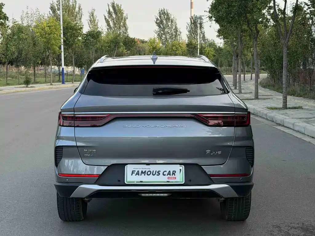 BYD PLUS New Energy — фото 4