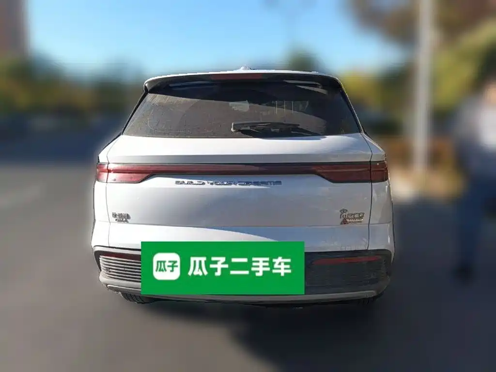 BYD Pro New Energy — фото 3