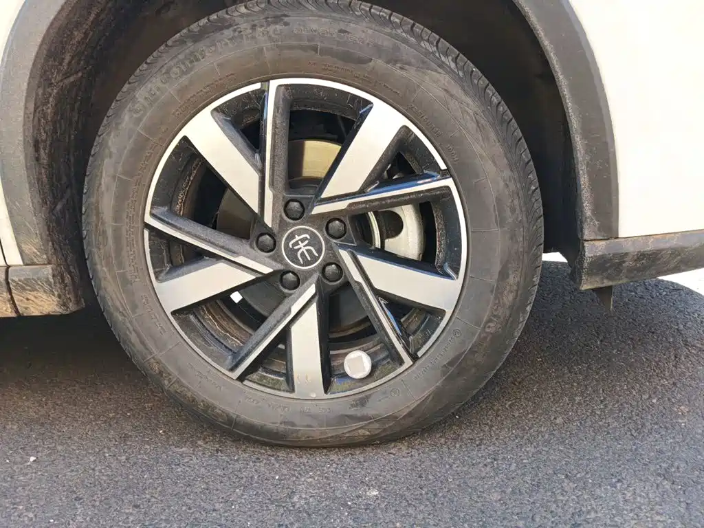 BYD Pro New Energy — фото 25