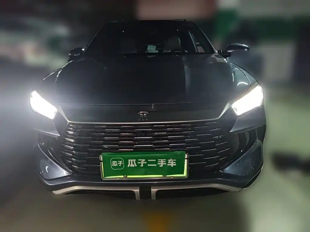 BYD Pro New Energy — фото 2