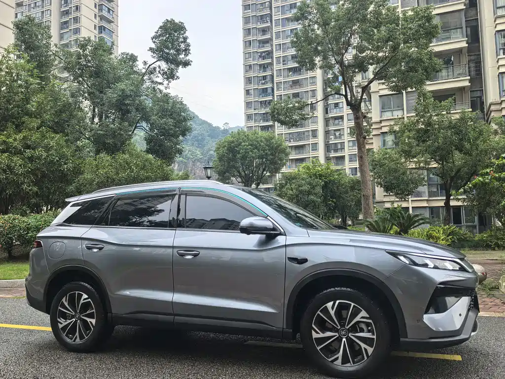 BYD Pro New Energy — фото 3