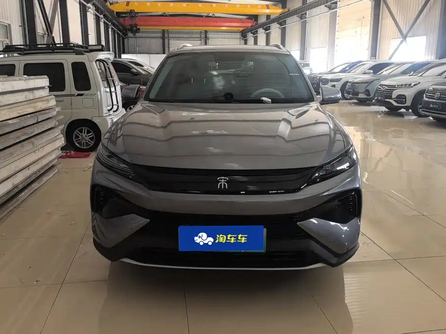 BYD Pro New Energy — фото 2