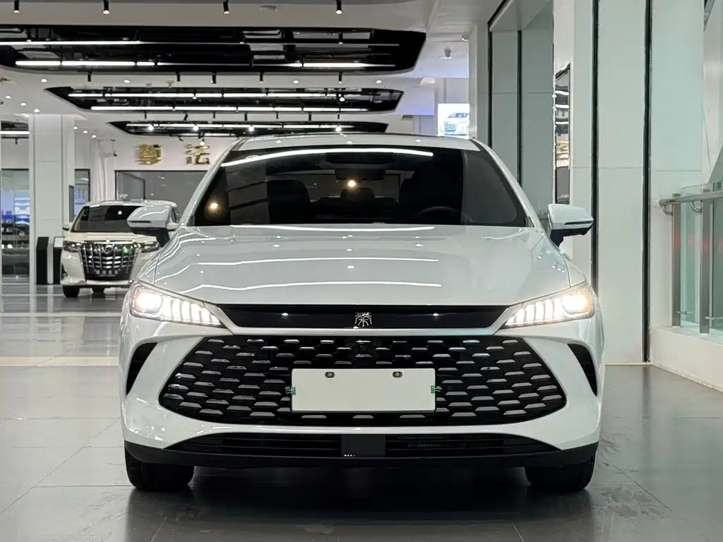 BYD Qin PLUS — фото 2