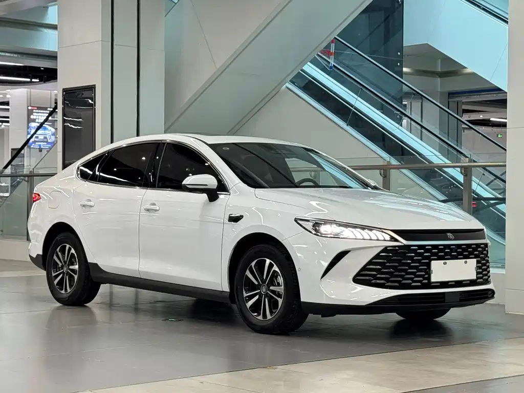 BYD Qin PLUS — фото 3