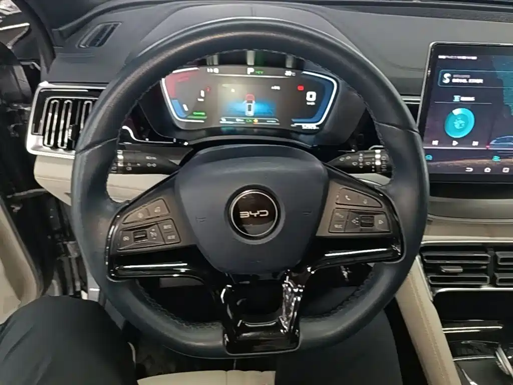 BYD PLUS New Energy — фото 11