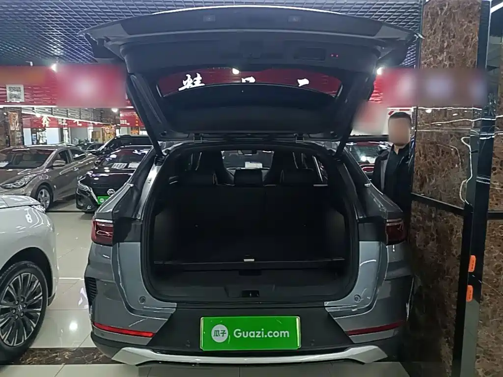 BYD PLUS New Energy — фото 19