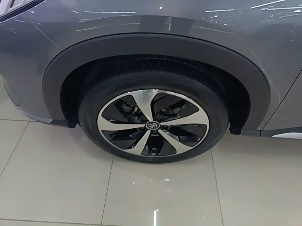 BYD PLUS New Energy — фото 23