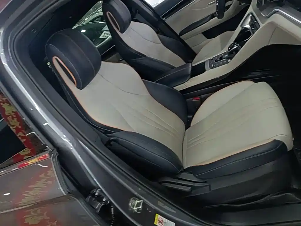 BYD PLUS New Energy — фото 25