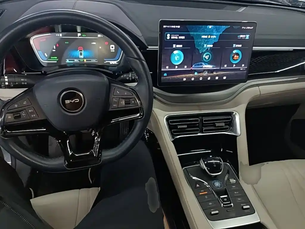 BYD PLUS New Energy — фото 10