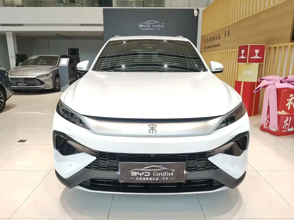 BYD Pro New Energy — фото 2