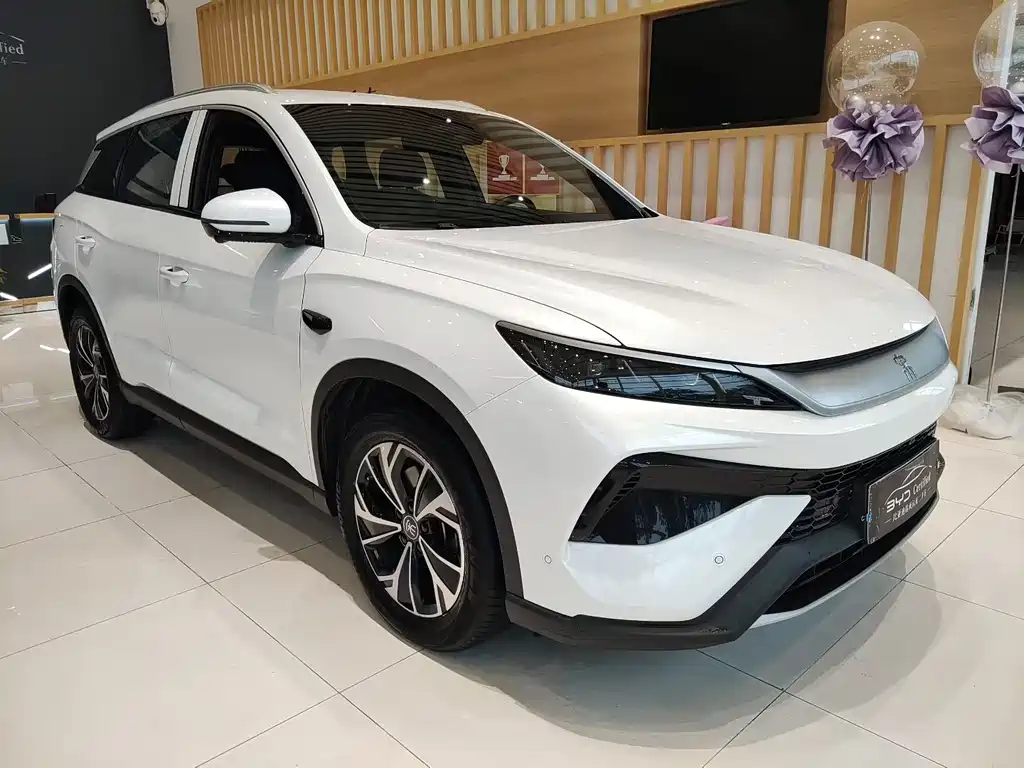 BYD Pro New Energy — фото 3