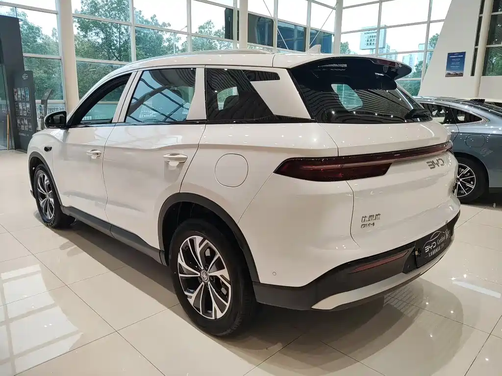 BYD Pro New Energy — фото 7