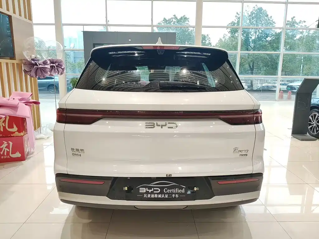 BYD Pro New Energy — фото 8