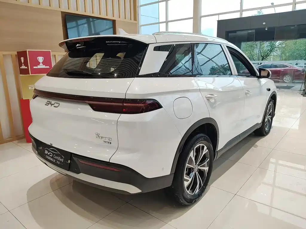 BYD Pro New Energy — фото 9
