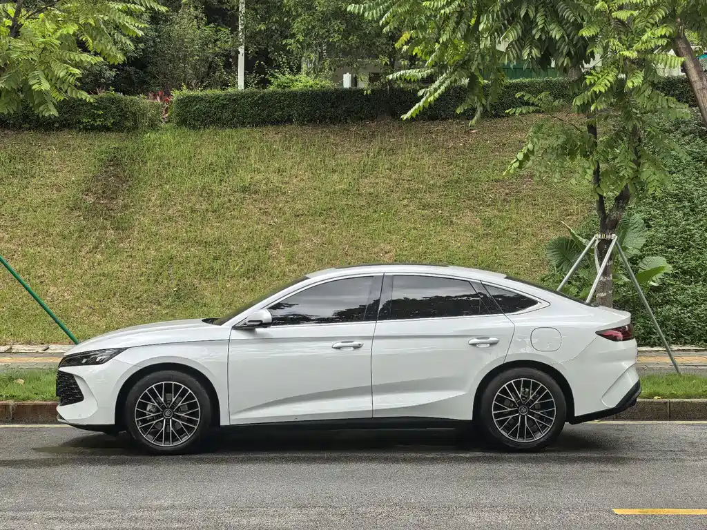 BYD Qin L — фото 3