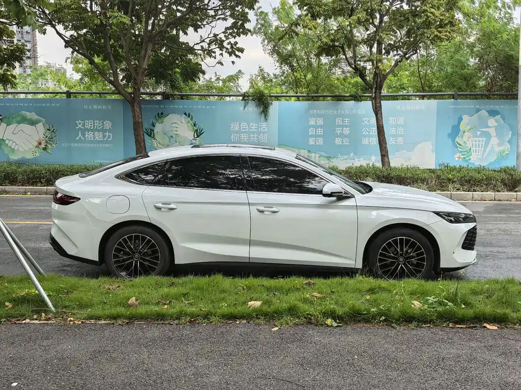 BYD Qin L — фото 6
