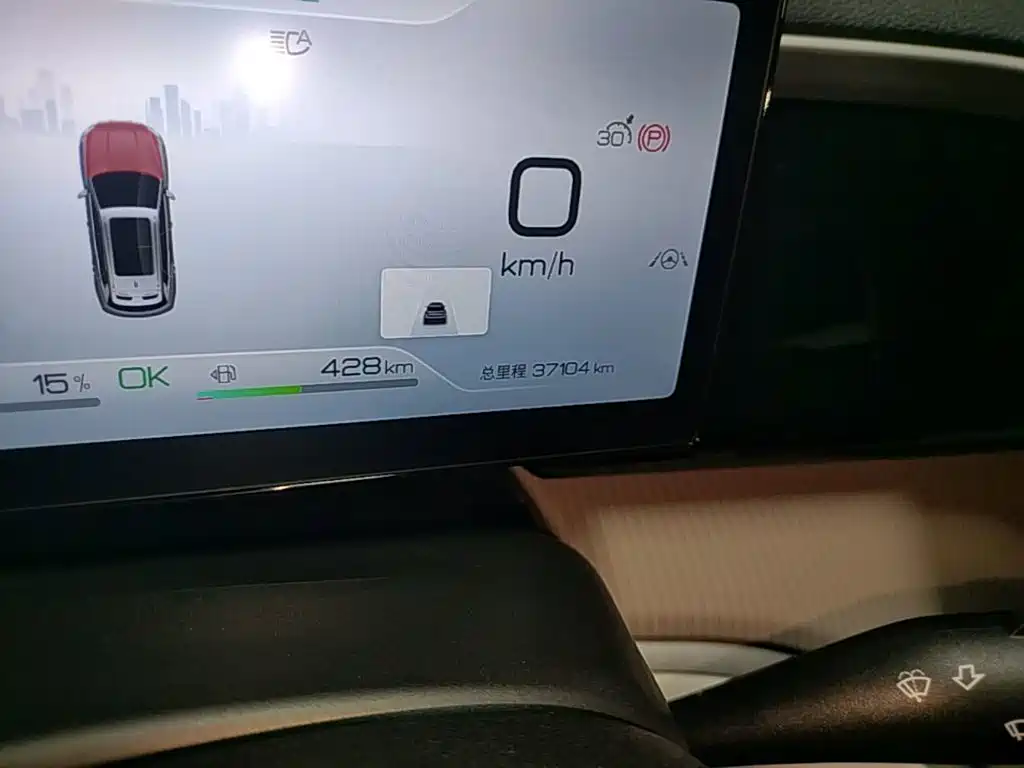 BYD Pro New Energy — фото 17