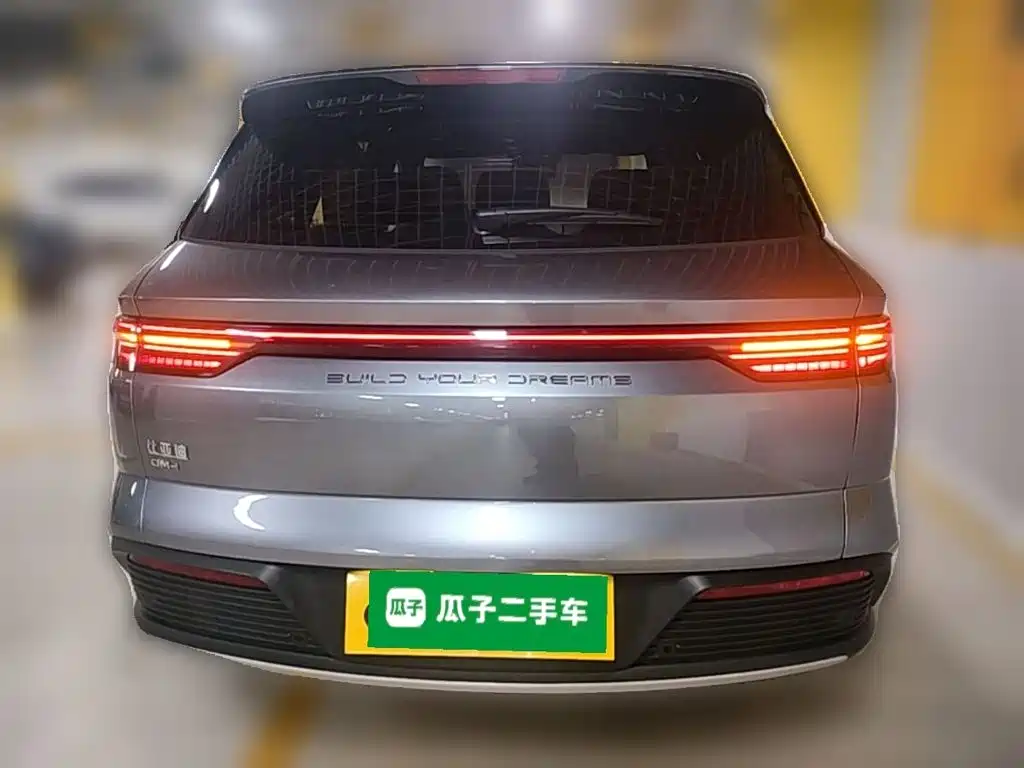 BYD Pro New Energy — фото 8