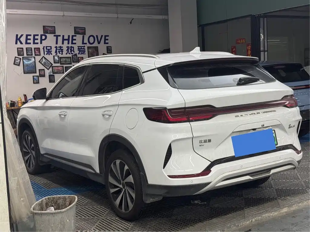 BYD PLUS New Energy — фото 19