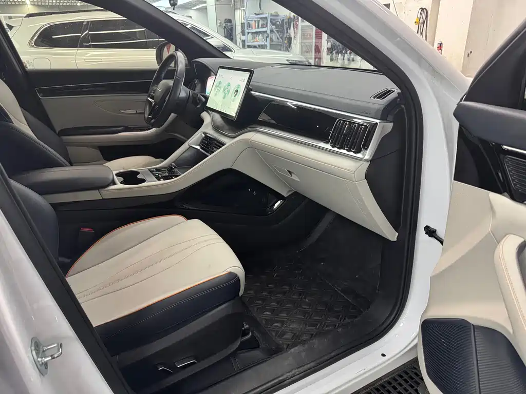 BYD PLUS New Energy — фото 8