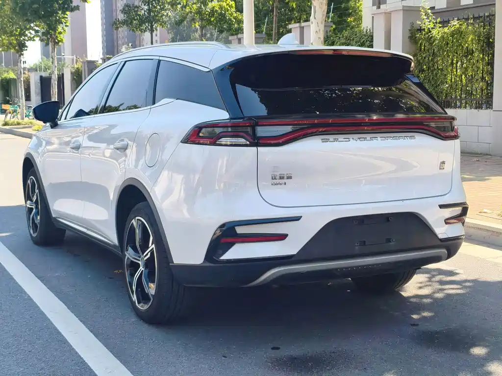 BYD Tang New Energy — фото 18