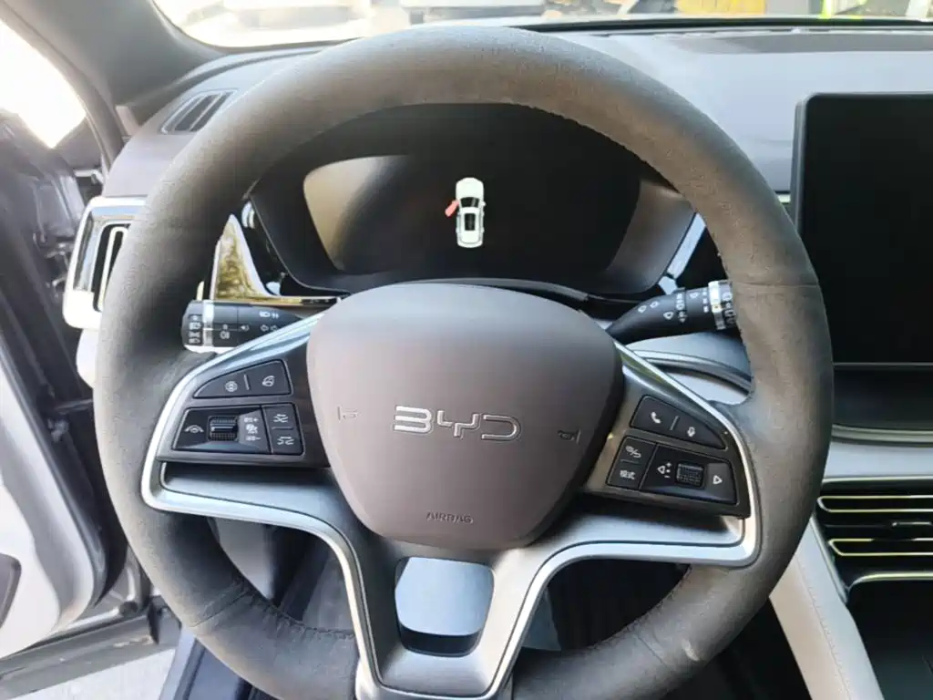 BYD PLUS New Energy — фото 11