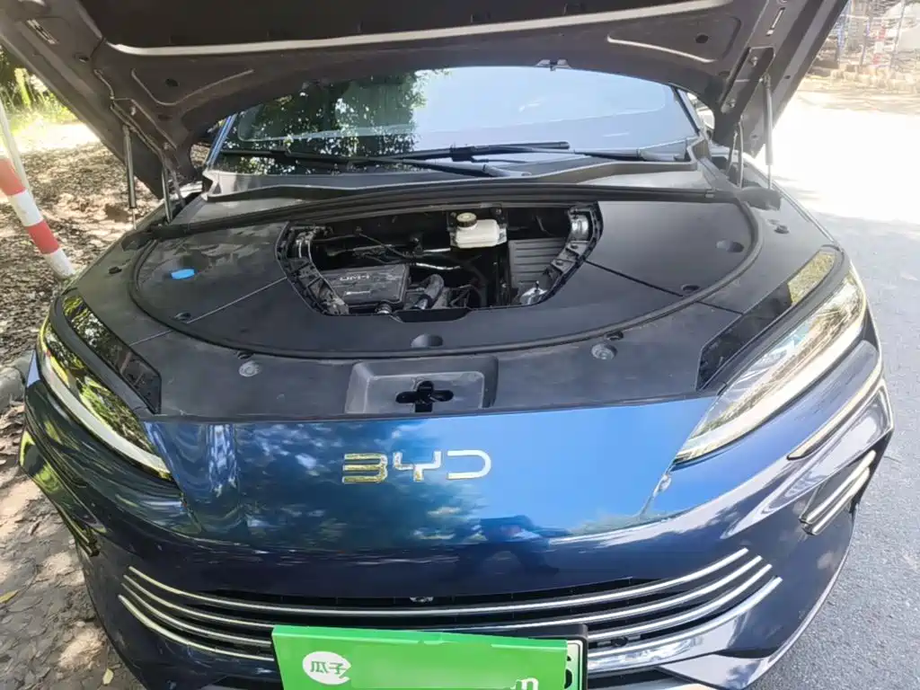 BYD PLUS New Energy — фото 20