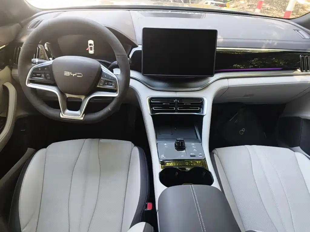 BYD PLUS New Energy — фото 10