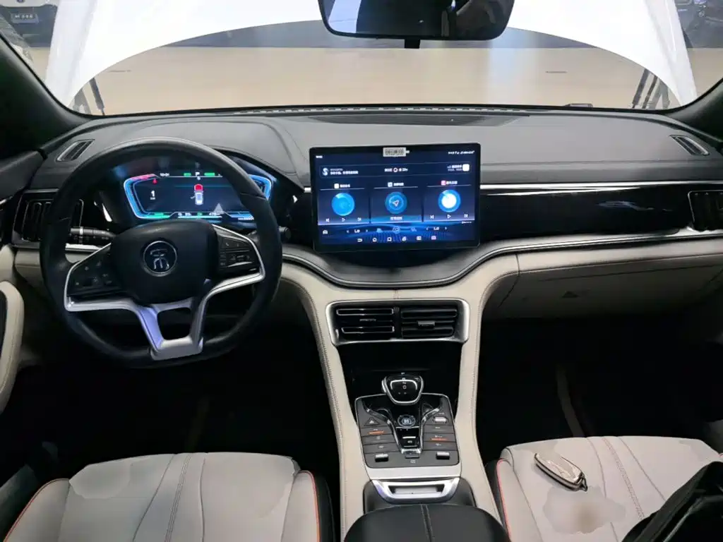 BYD PLUS New Energy — фото 10