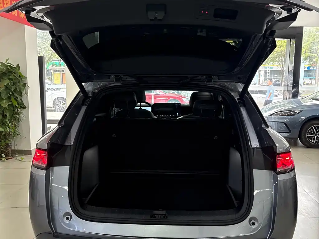 BYD L DM-i — фото 11