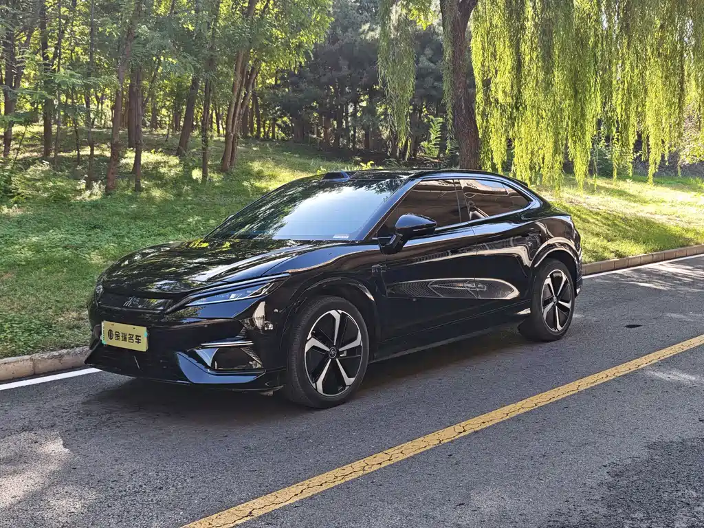 BYD L EV