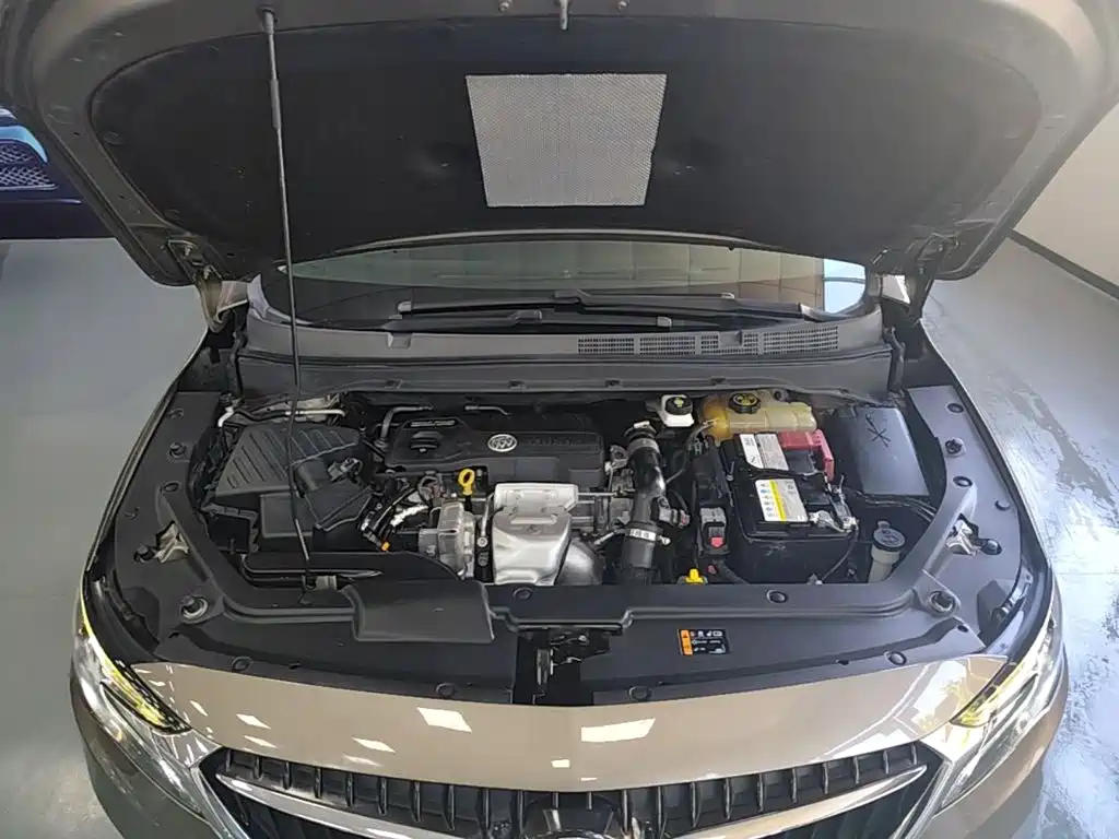 Buick GL6 — фото 20