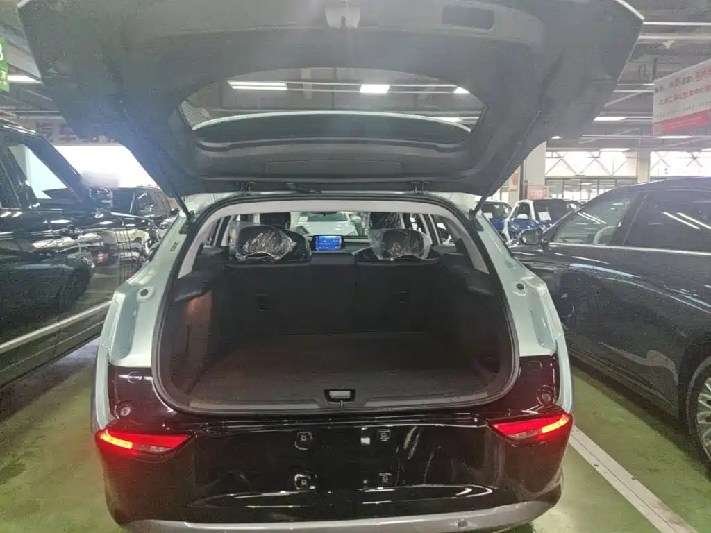 Buick Velite 6 — фото 19