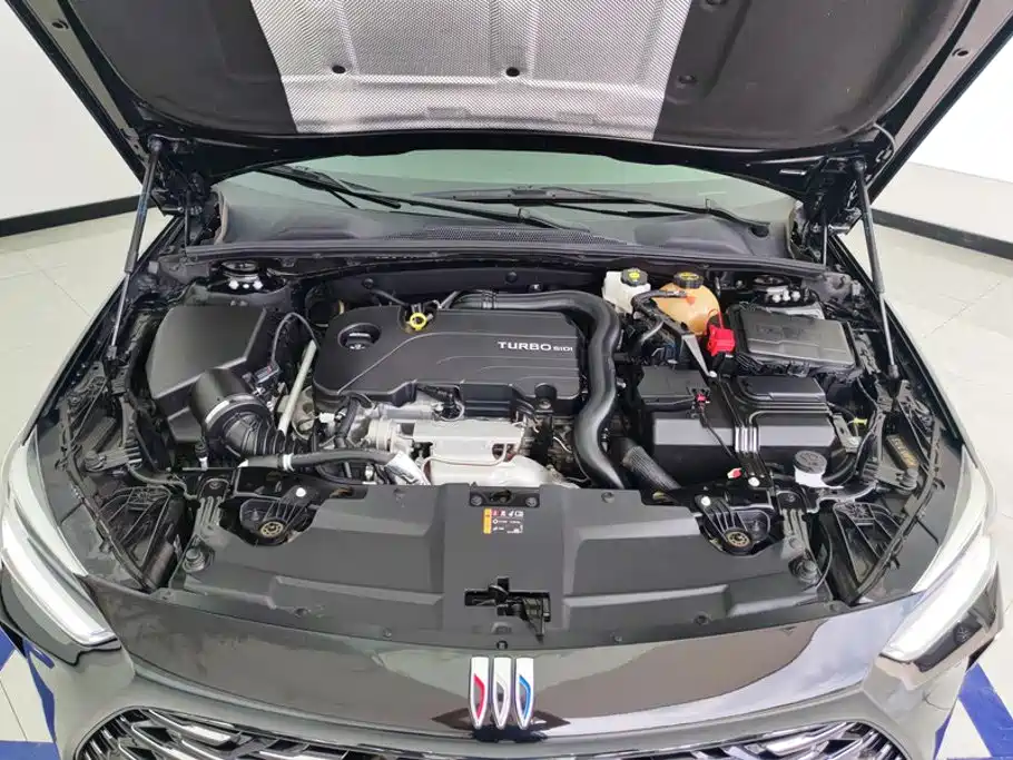 Buick Regal — фото 10