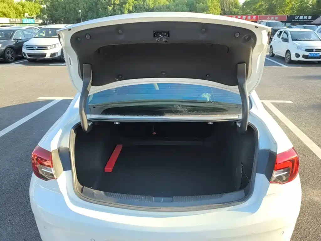 Buick Regal — фото 19