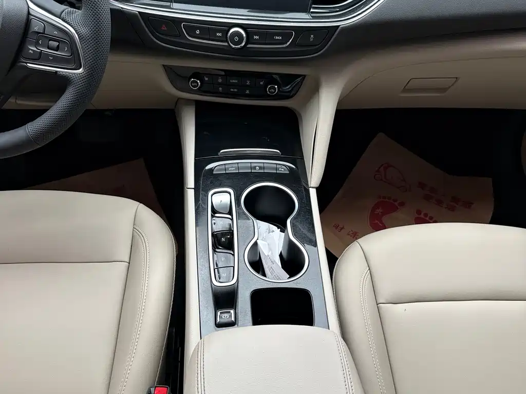 Buick Regal — фото 11