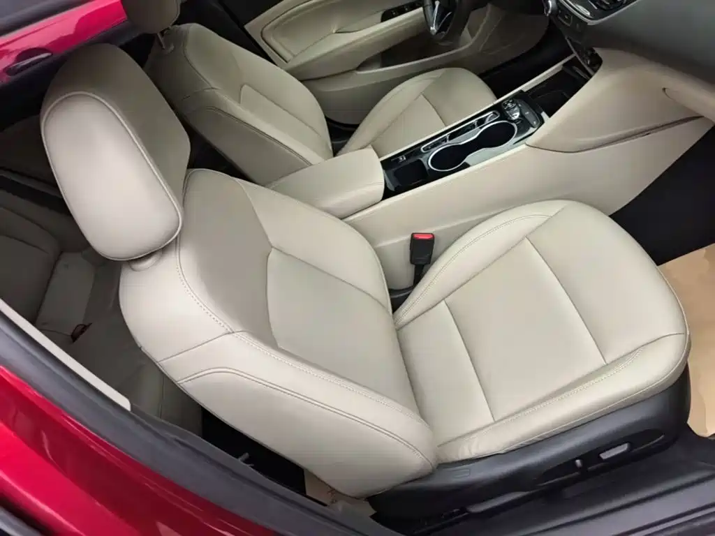 Buick Regal — фото 25