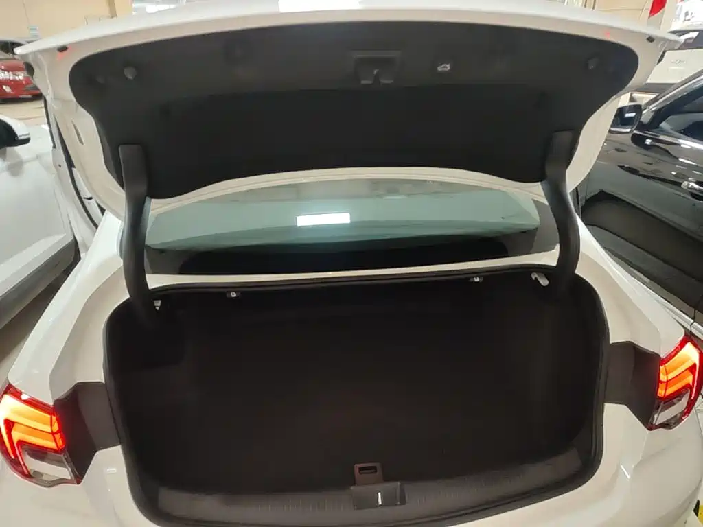 Buick Regal — фото 19